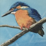 Thumbnail of post image 079